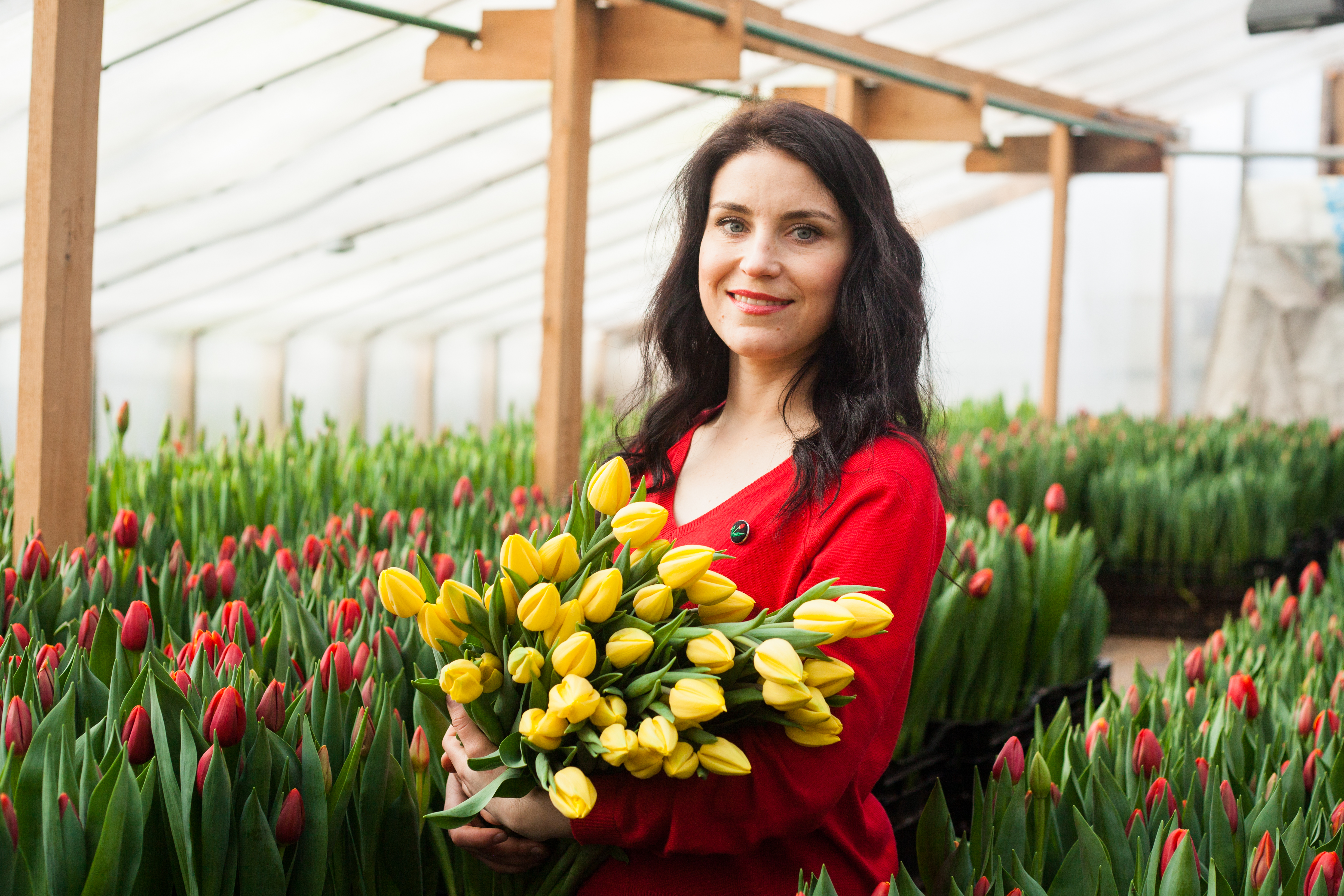 E-commerce seasonality